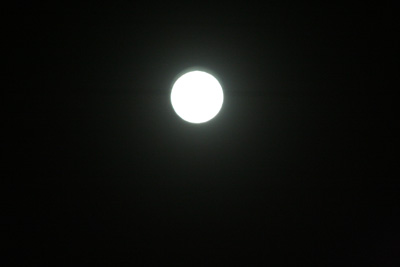 bigmoom1.jpg